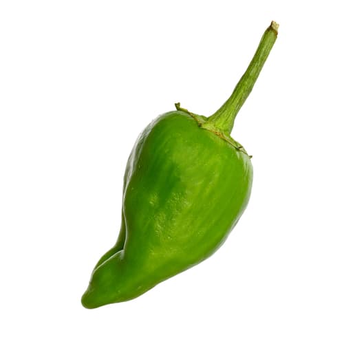 Paprika Padron - Paprika