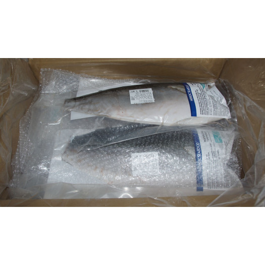 Hamachi Yellowtail fillet ASC ca1,5/10kg Yellow tail flounder Martin & Servera
