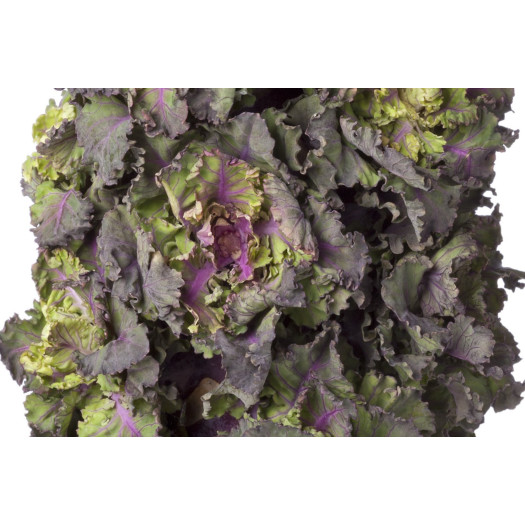 Flowersprouts 150g