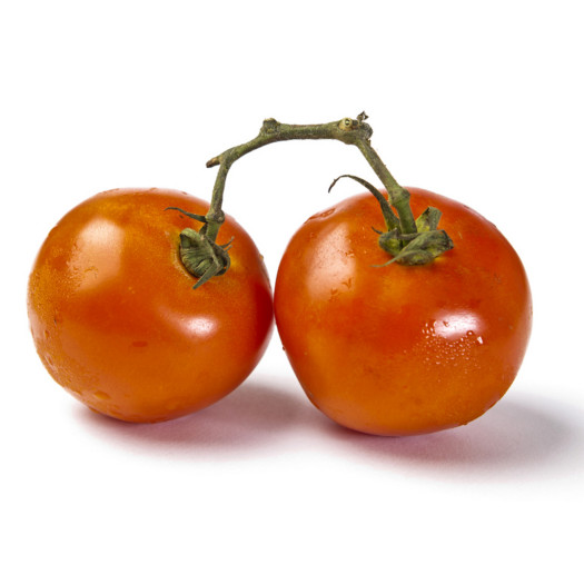 Tomat kvist röd
