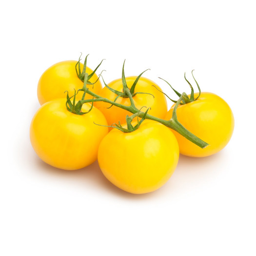 Tomat kvist gul