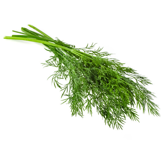 Dill 250g knippe
