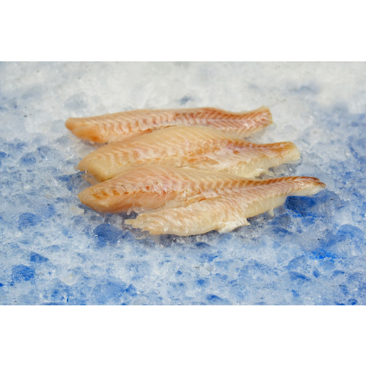Djuphavskungsfisk (Uer) usk MSC 60-100g