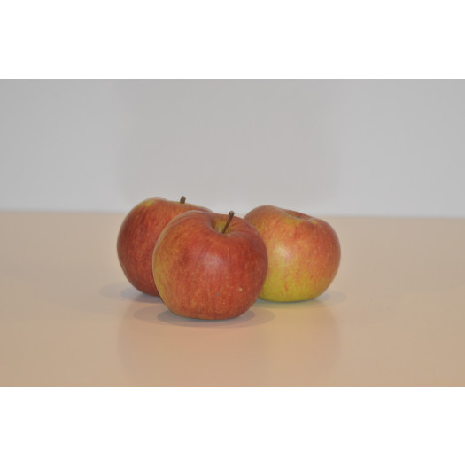&Auml;pple Amorosa