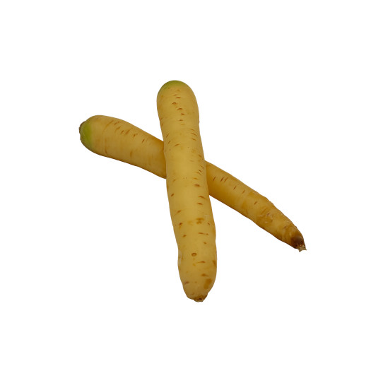 Morot vit