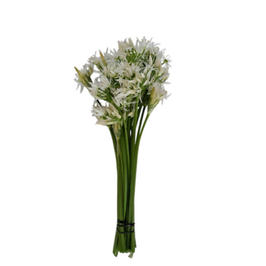 Ramsl&ouml;ksblommoa 50g