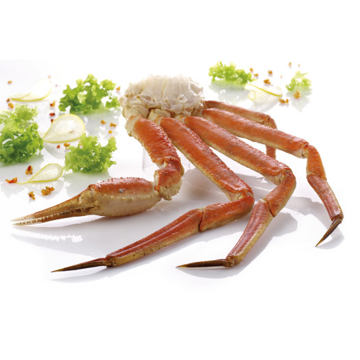 Snow crab kropp ben klo 142-226g/9,072kg