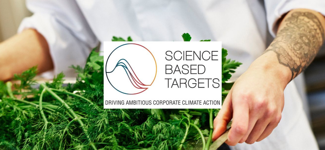 V&aring;ra klimatm&aring;l