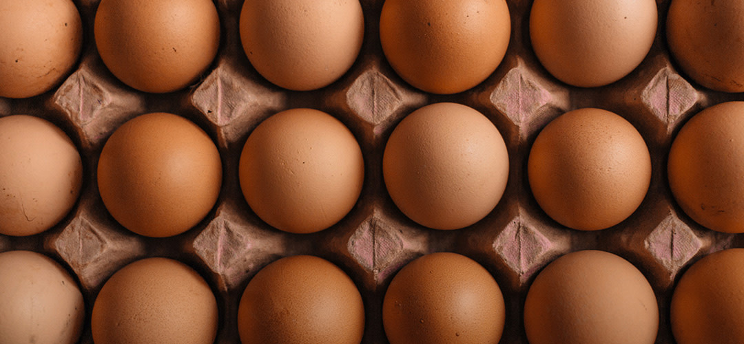 Pallanpassade äggförpackningar: Minskar svinnet med 2 ton ägg