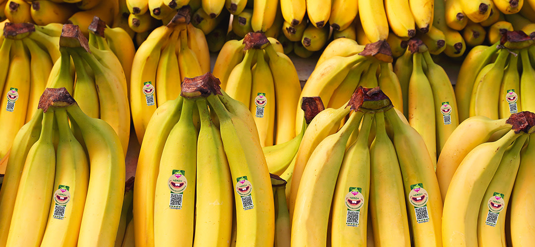 Nu bidrar du till hjälporganisationen Operation Smile vid varje köp av en ekologisk banan