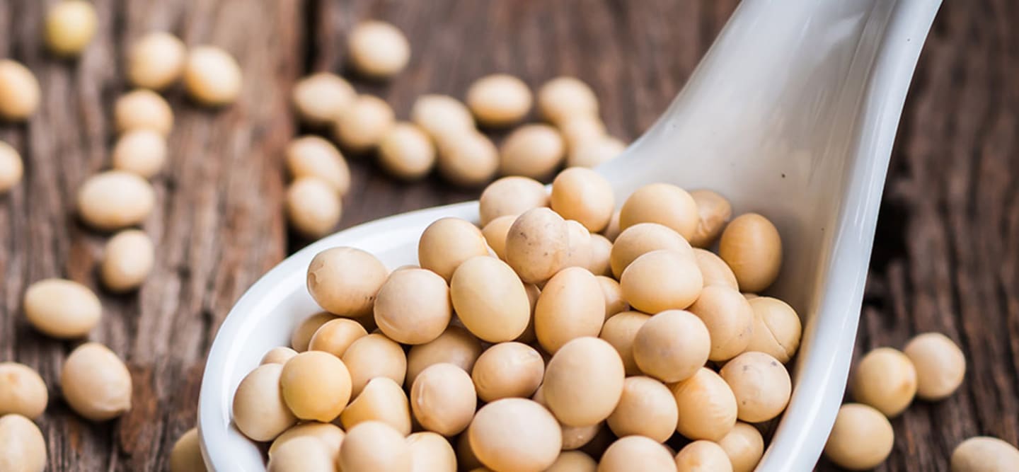 Policy Soya