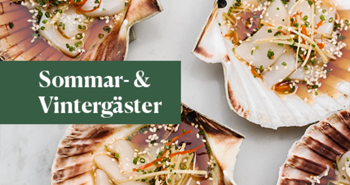 Sommargäster och Vintergäster
