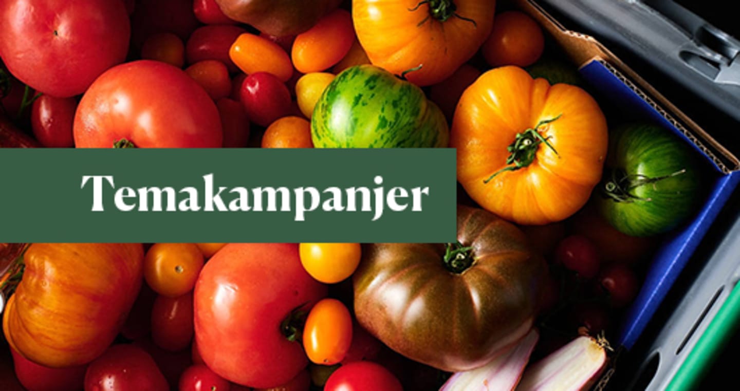 Temakampanjer