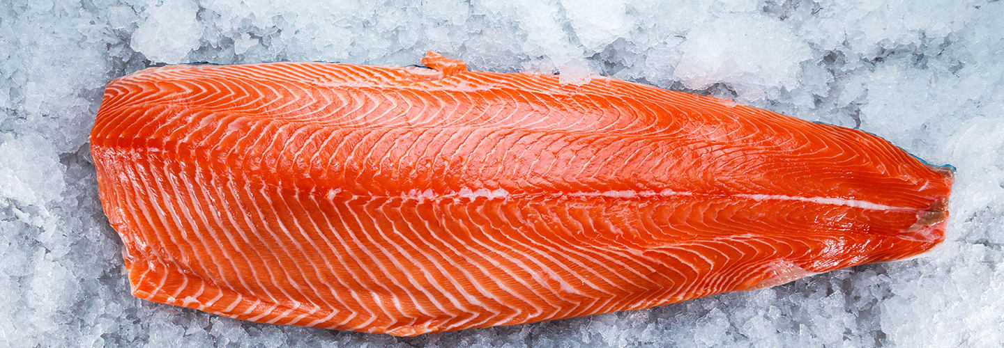 Färsk fisk