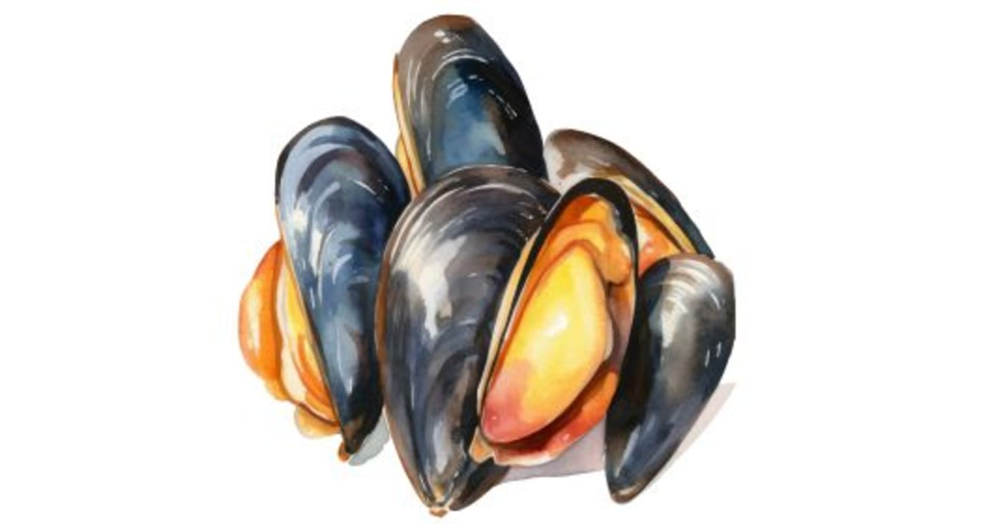 Mer baljväxter och skaldjur