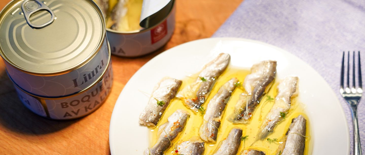 Boquerones på siklöja