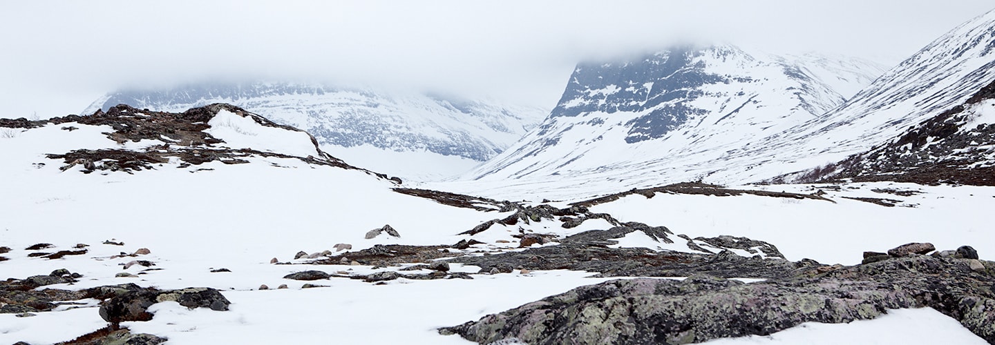 Fjällsäsong