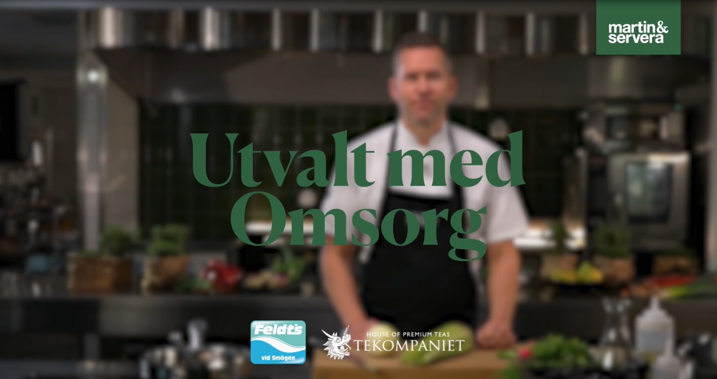Videominiatyr