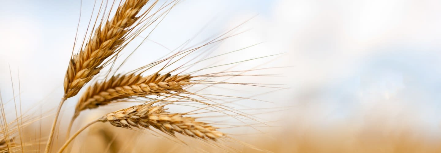 Mer smak och näring med Good Grains