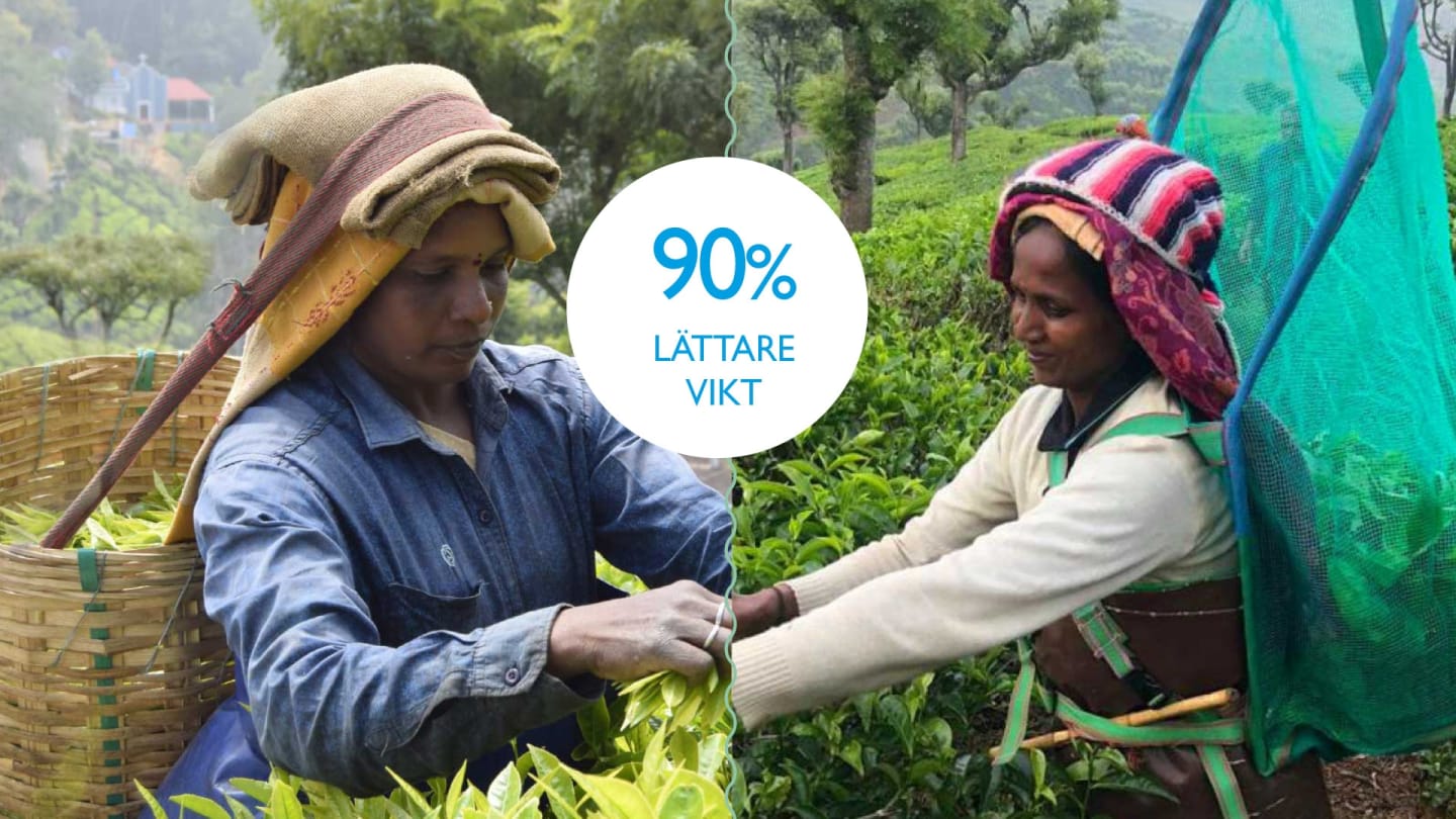 Lättare arbetsredskap på plantaget i Blue Mountains