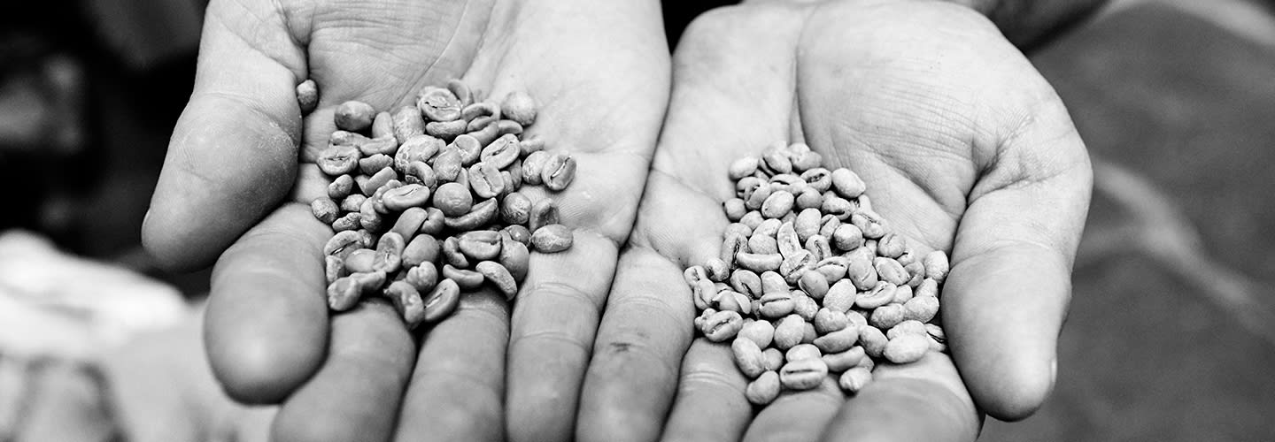 Kaffets historia