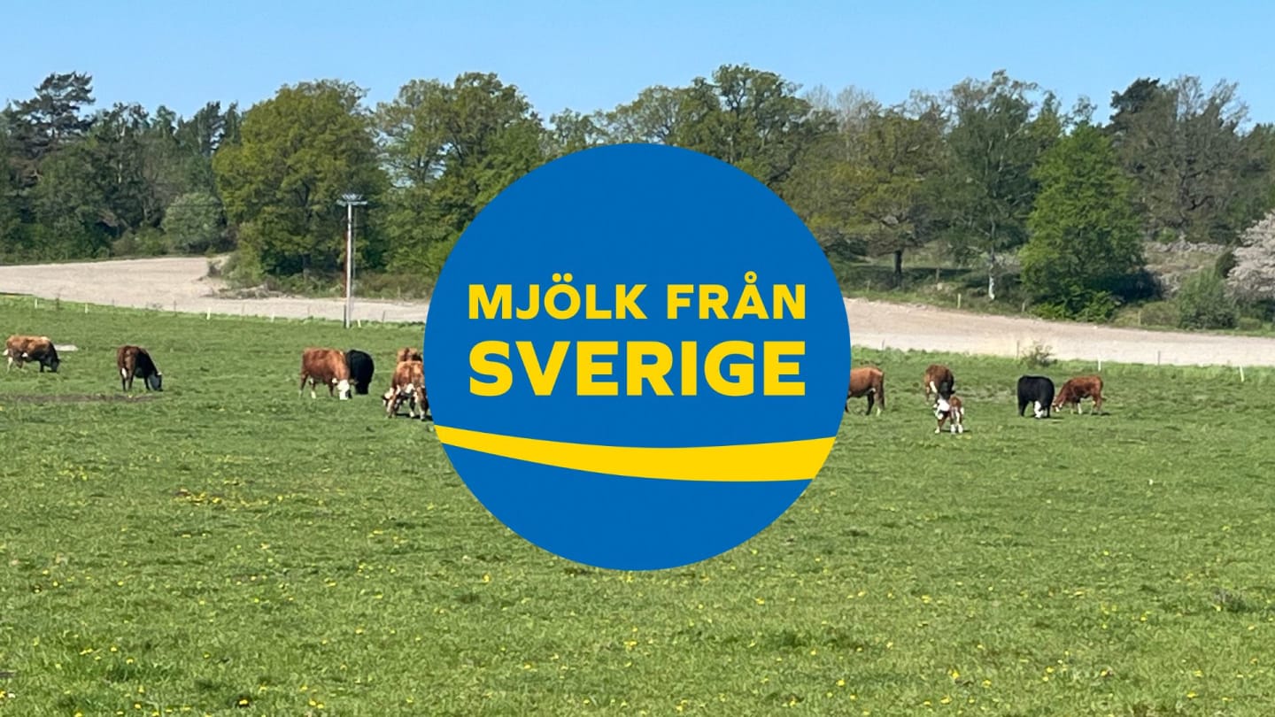 Mjölk från Sverige