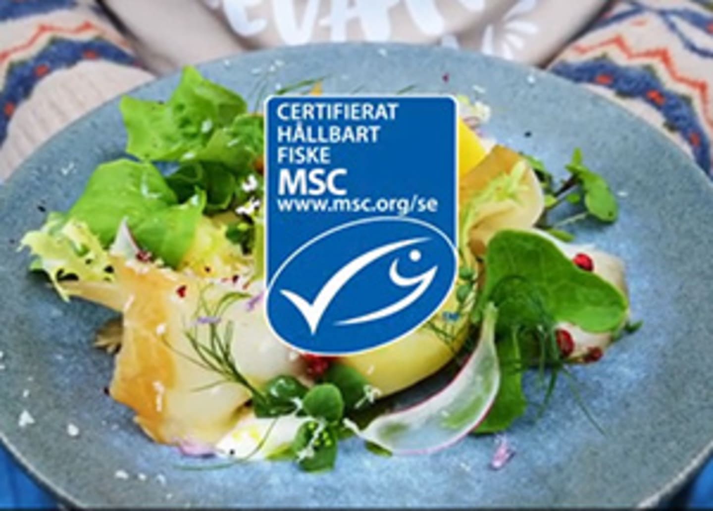 MSC
