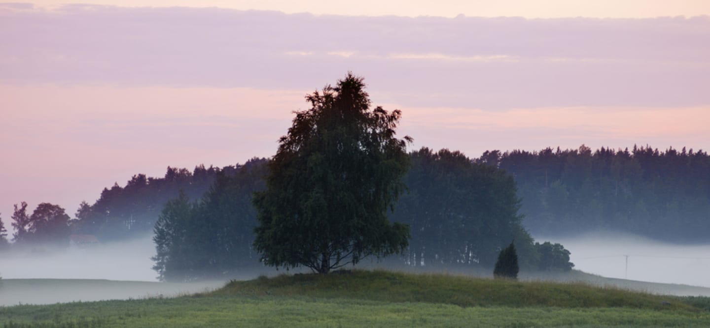Regionala produkter från Svealand