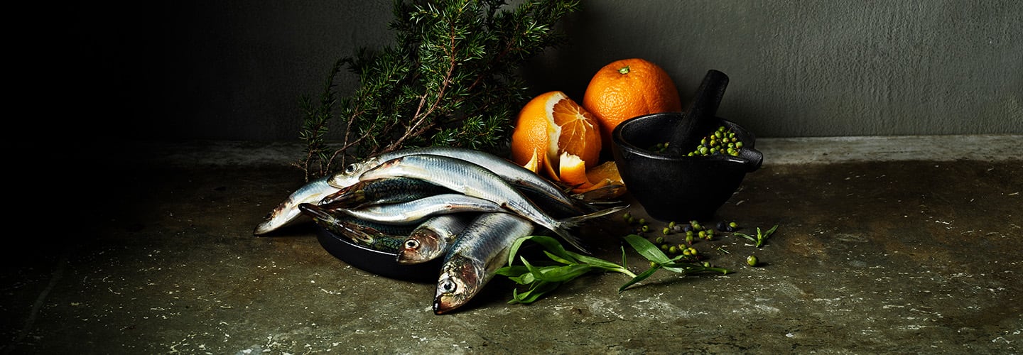 MSC – Gör ett bra drag. Välj den blå fisken – för alla världens hav