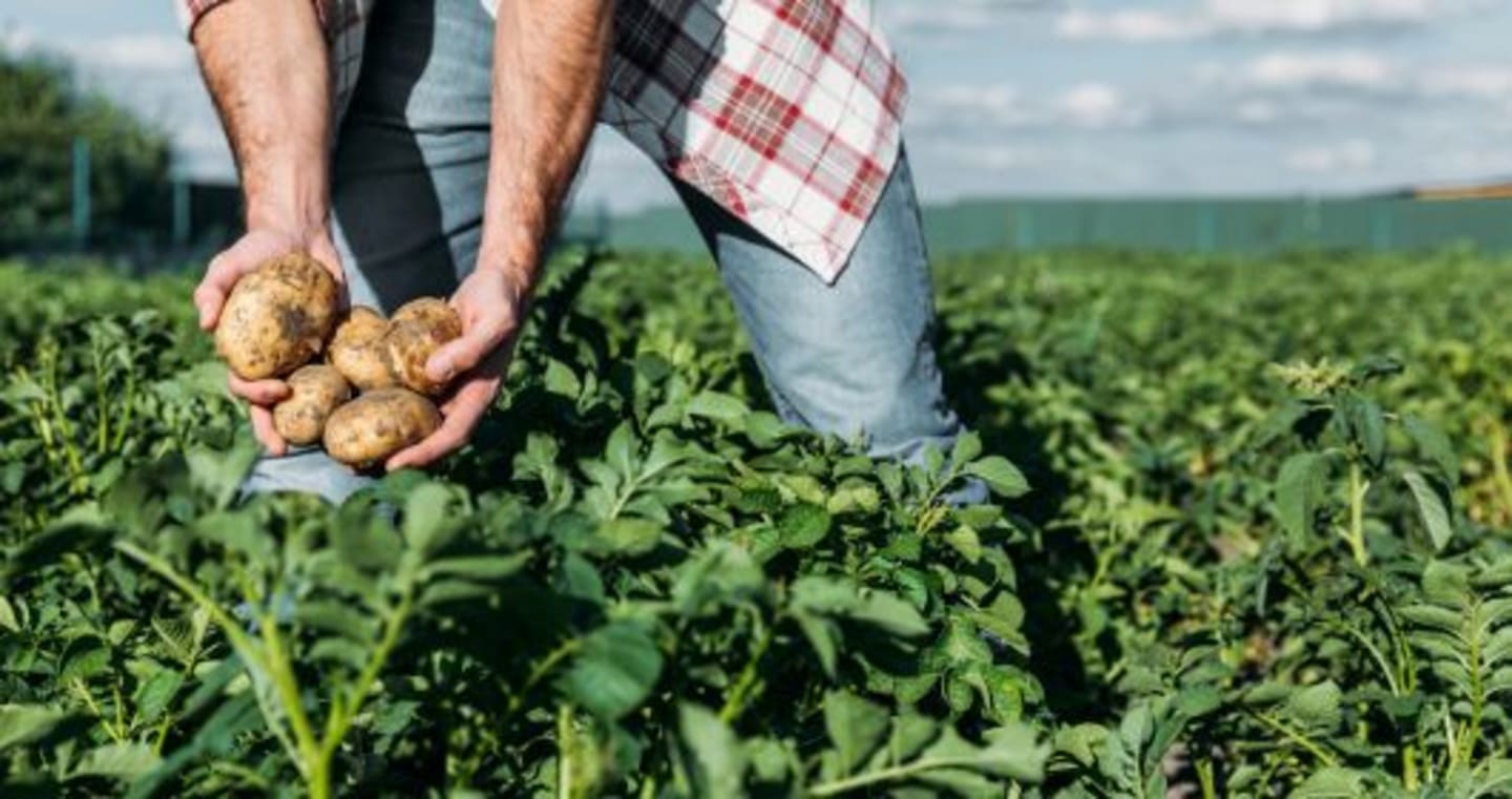 Allt för dig när du vill handla regionala produkter