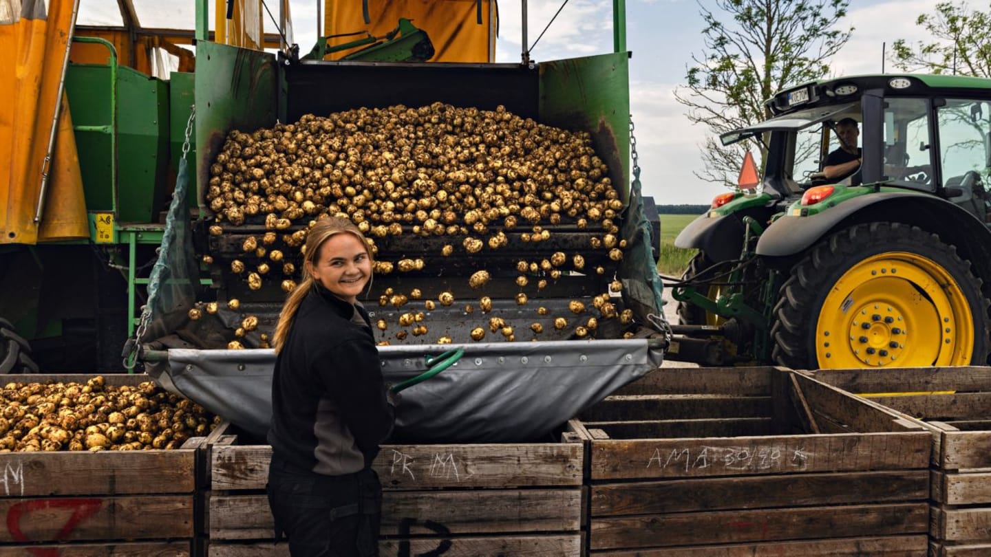 Odlat och producerat på Gotland