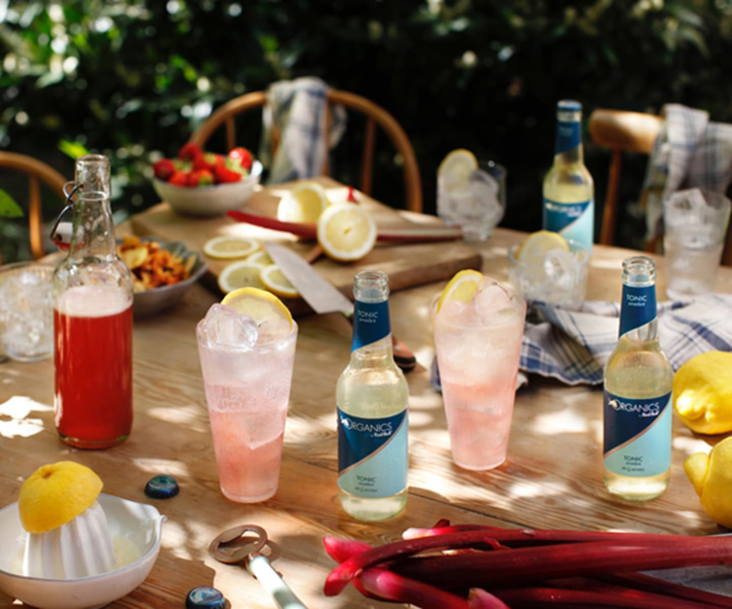 Rhubarb Tonic