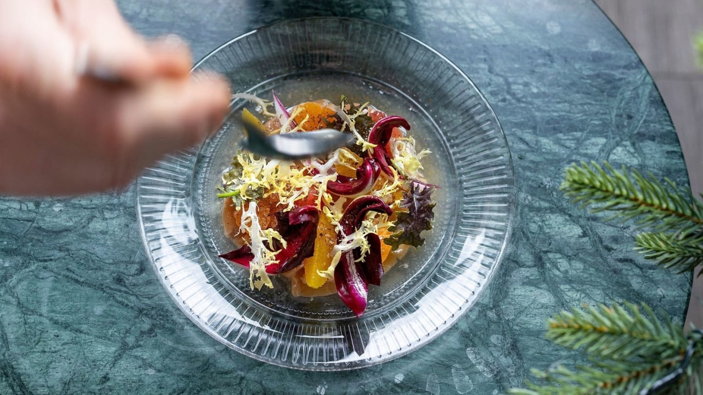 Crudo på vildlax med vintersallad och citrus