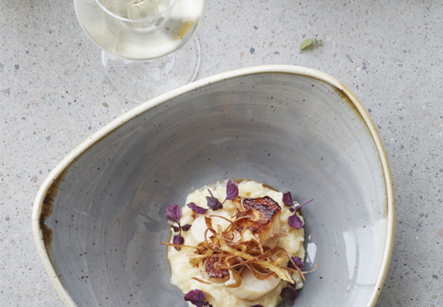 Karamelliserad pilgrimsmussla med champagnerisotto