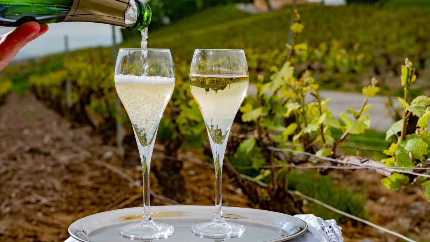 Nyhet! Champagne och övrigt mousserande vin