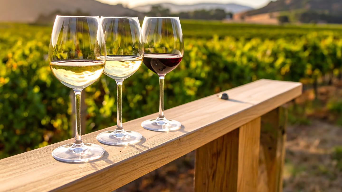 Nyhet! Svenskt vin – ett vinland i snabb utveckling