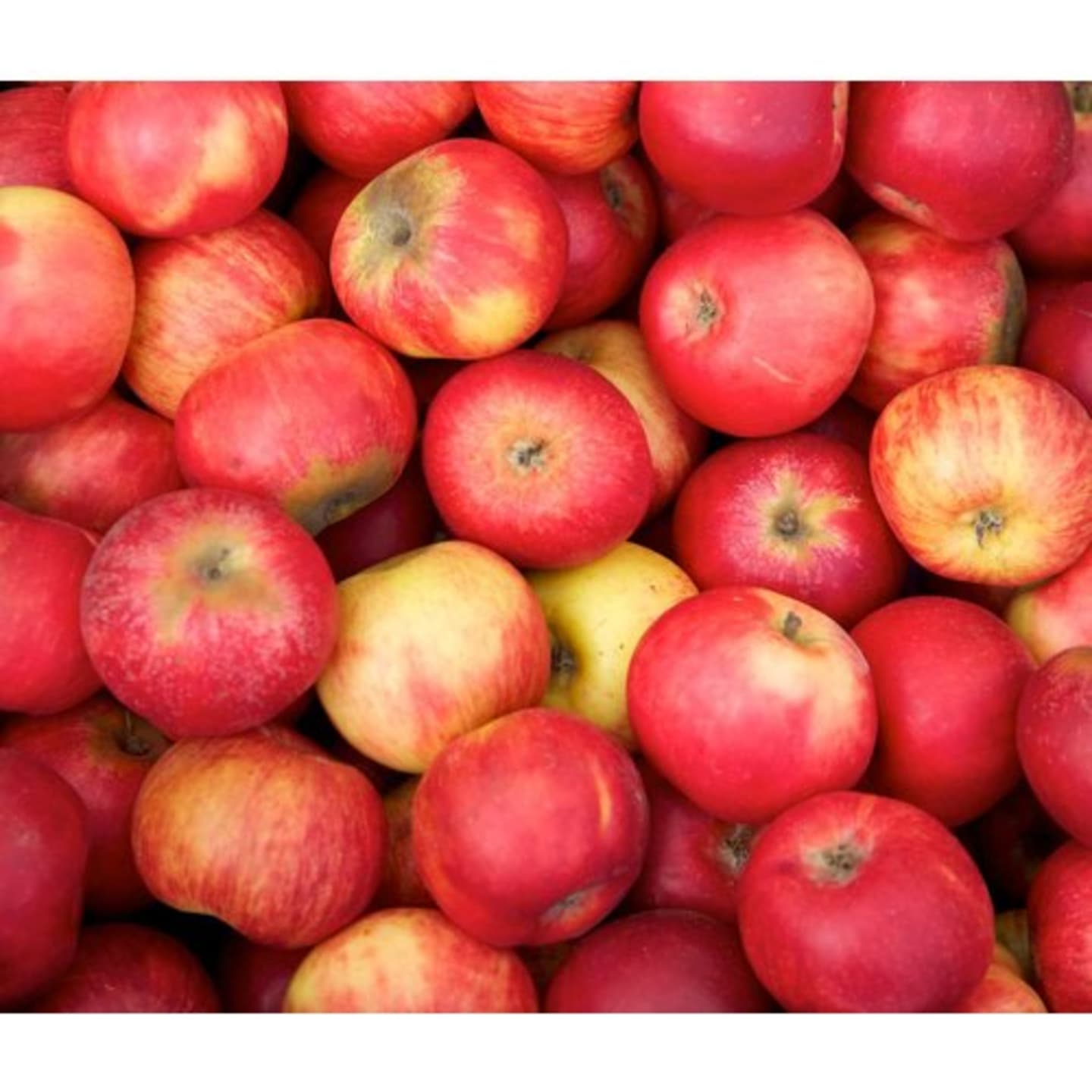 Äpple svenskt 13kg