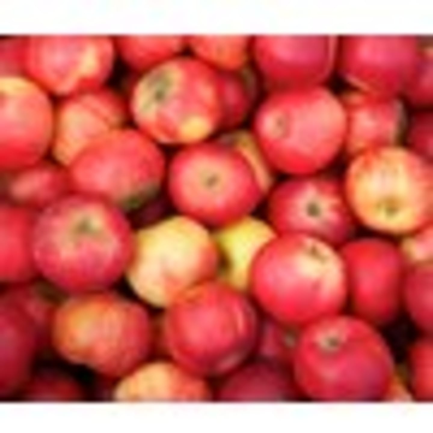 Äpple svenskt 13kg - Bild 1 av 2