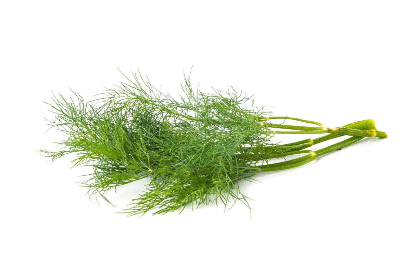 Fänkålsdill grön 50g