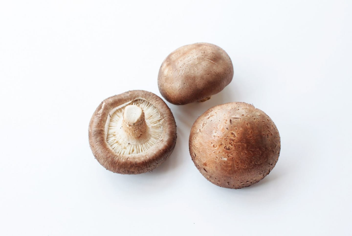 Mini shiitake