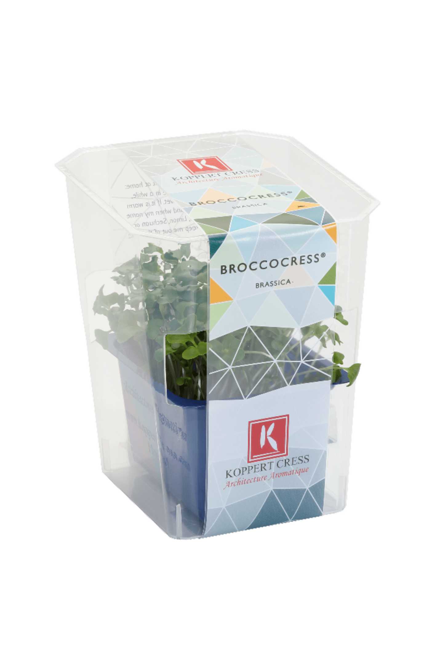 Broccolikrasse - Bild 1 av 2
