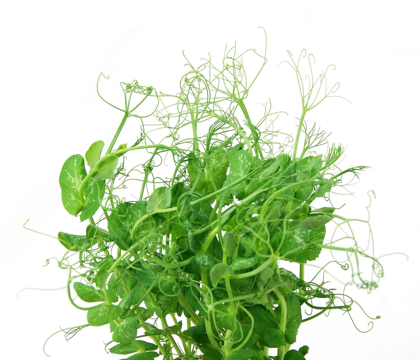 Gröna ärtskott 1kg - Bild 1 av 1