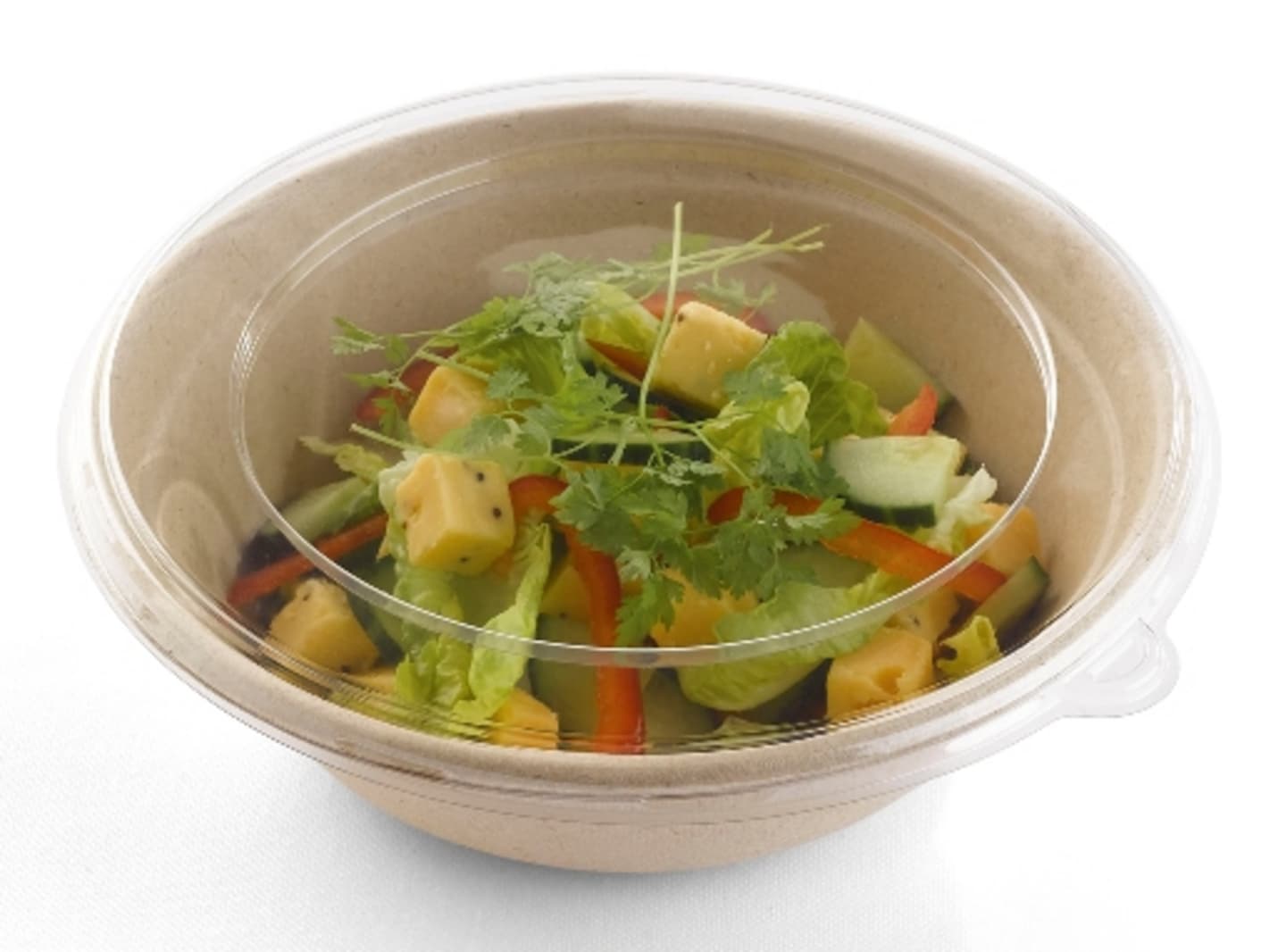 Salladsskål rund bagasse 21x6cm 1L 75st - Bild 1 av 2