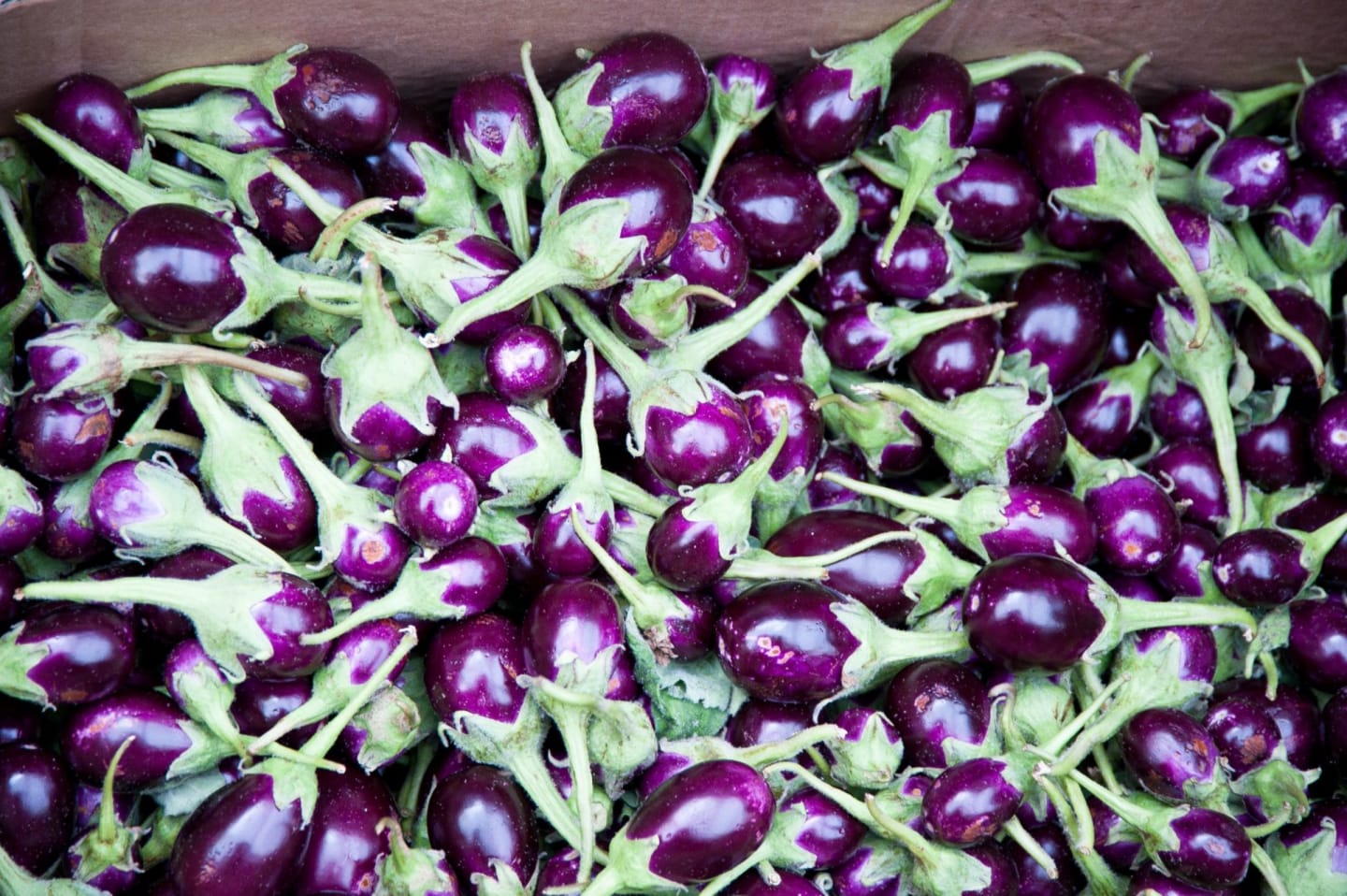 Miniaubergine 200g