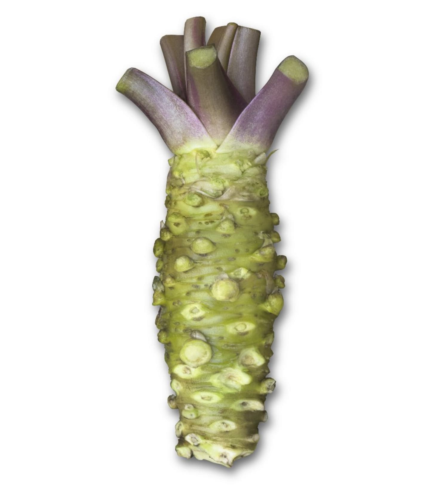 Wasabi färsk ca 170g