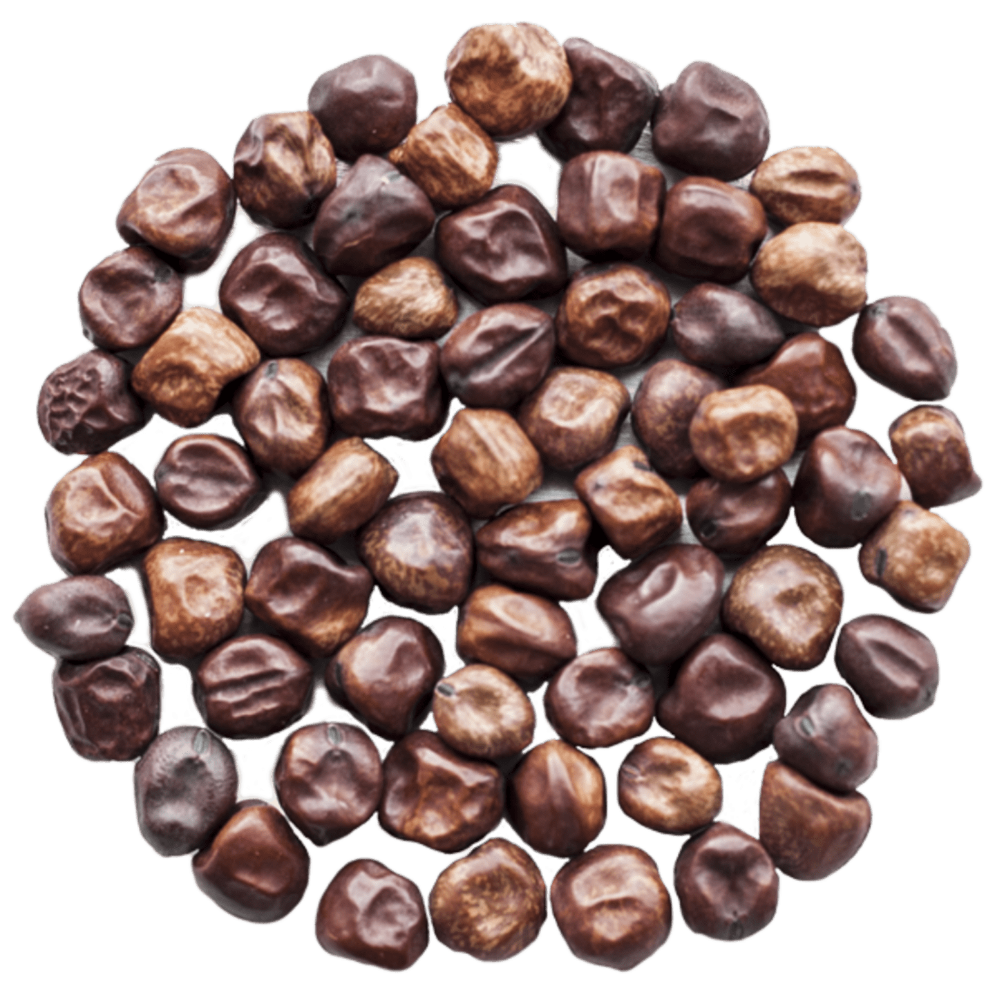 Stor gråärt 2,5kg