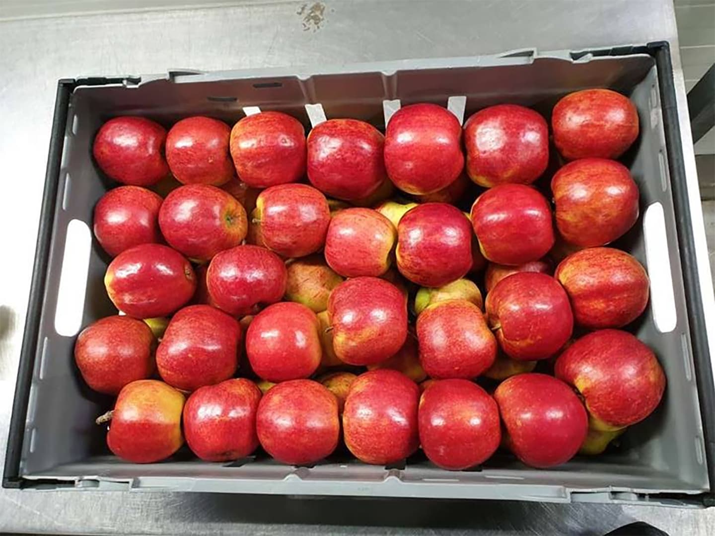 Äpple Rubinstar - Bild 1 av 2
