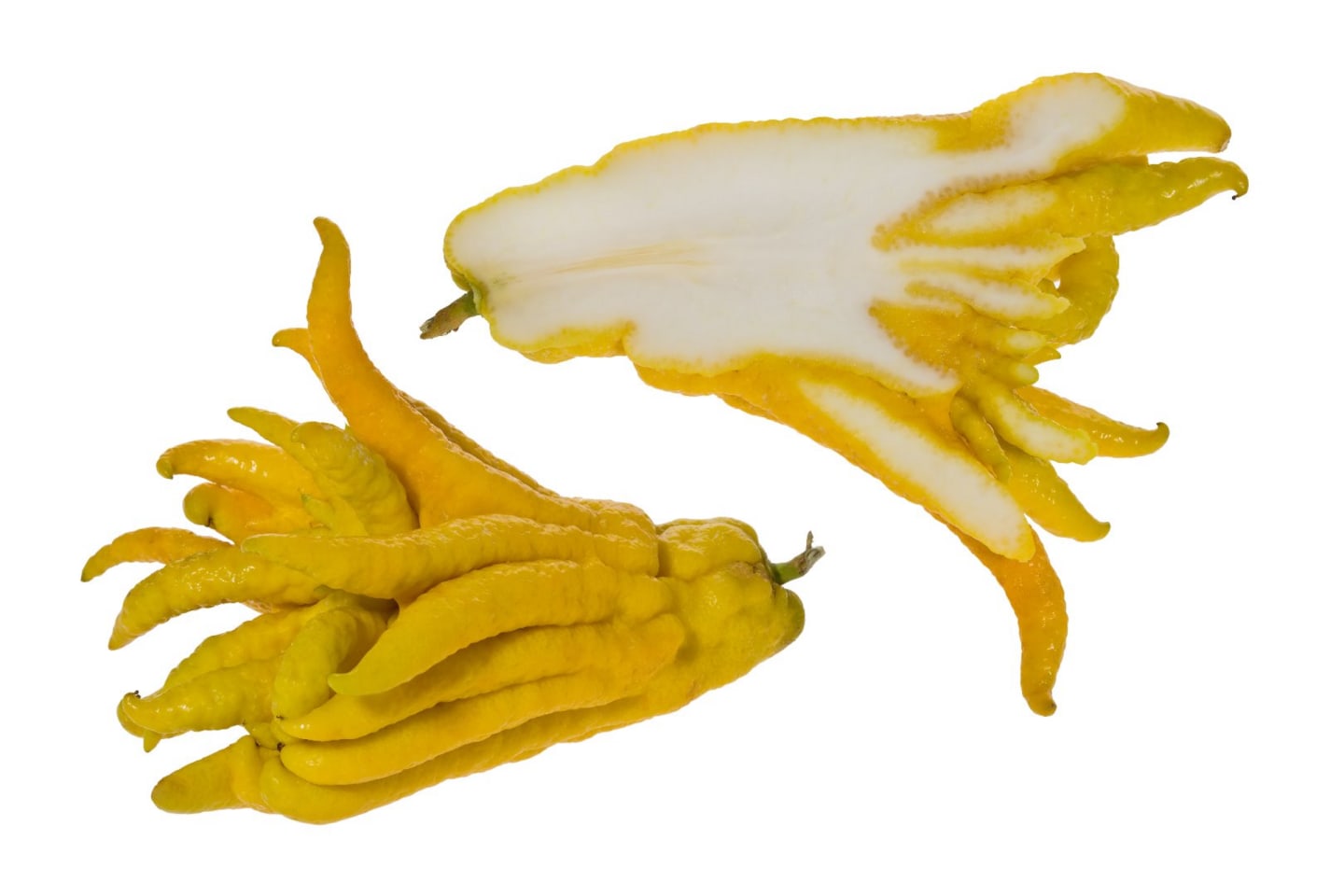 Buddhas hand st