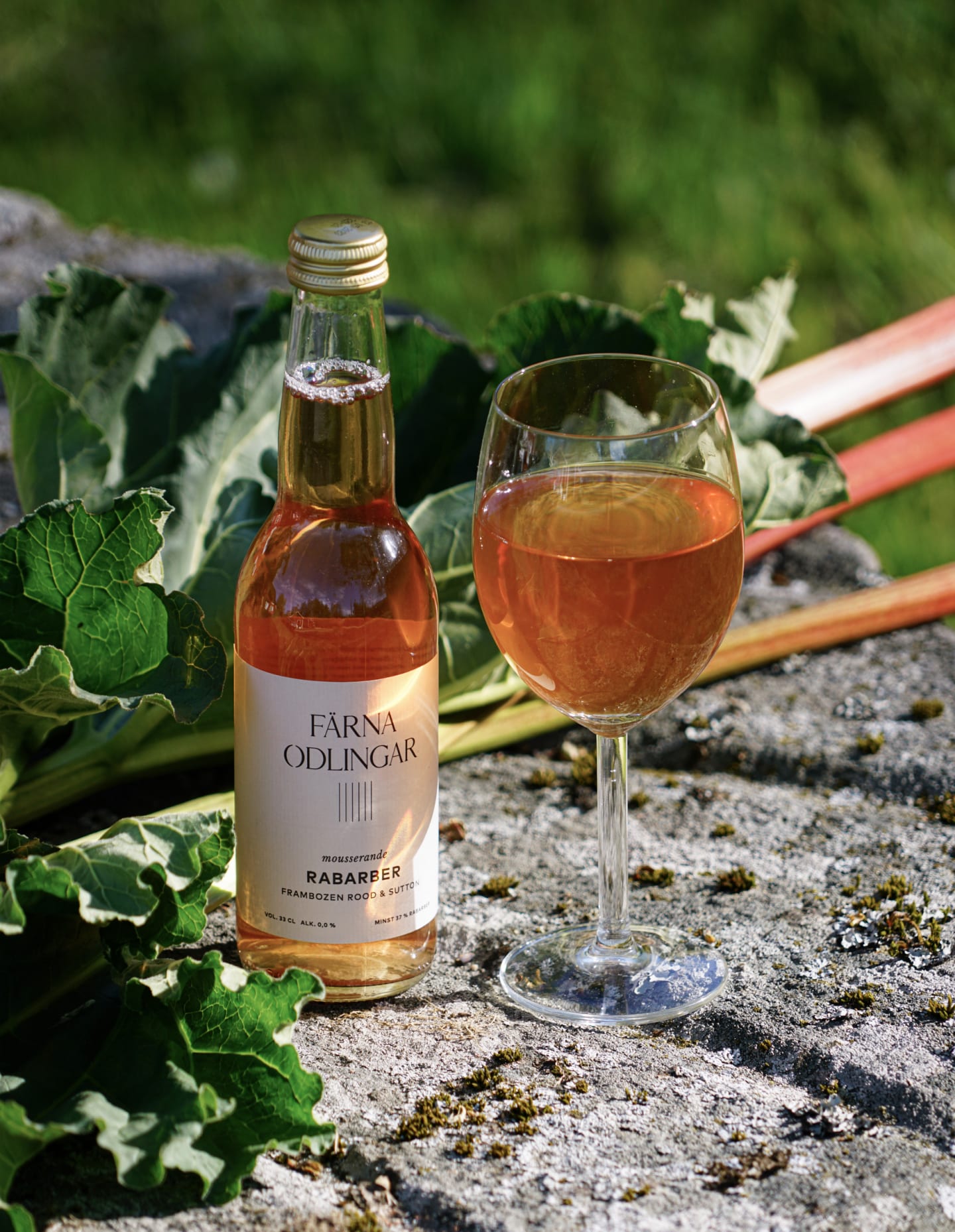 Rabarberdryck mousserande 0% 33cl - Bild 1 av 3