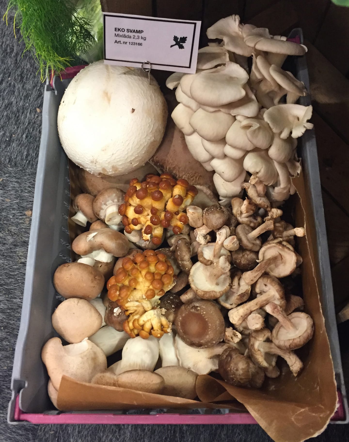 Svamp mixlåda 2,3kg